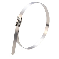 满盛达建 不锈钢扎带 长250mm 条