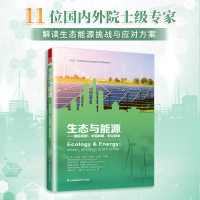正版新书]生态与能源--国际视野中国战略前沿探索王浩,吕永龙,