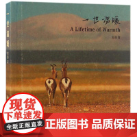 正版一世温暖老潘9787503255953中国旅游出版社