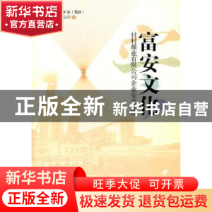 正版 富安文化:付村煤业有限公司企业安全管理 徐亚民主编 经济