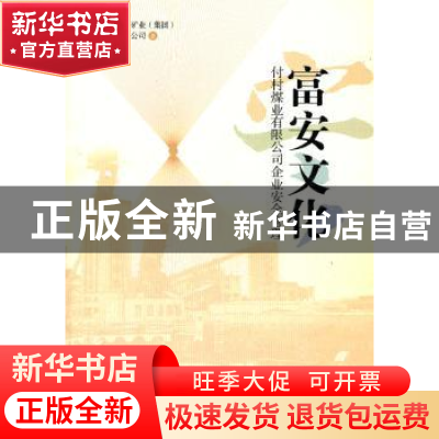 正版 富安文化:付村煤业有限公司企业安全管理 徐亚民主编 经济