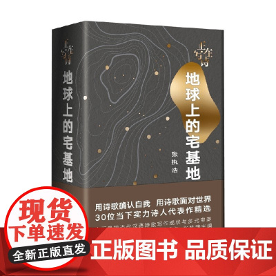 正在写诗 地球上的宅基地 张执浩 著 文学