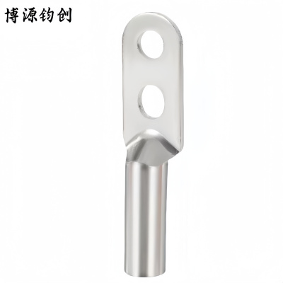 博源钧创 双孔铜鼻子 镀锡双孔DTS-630 个