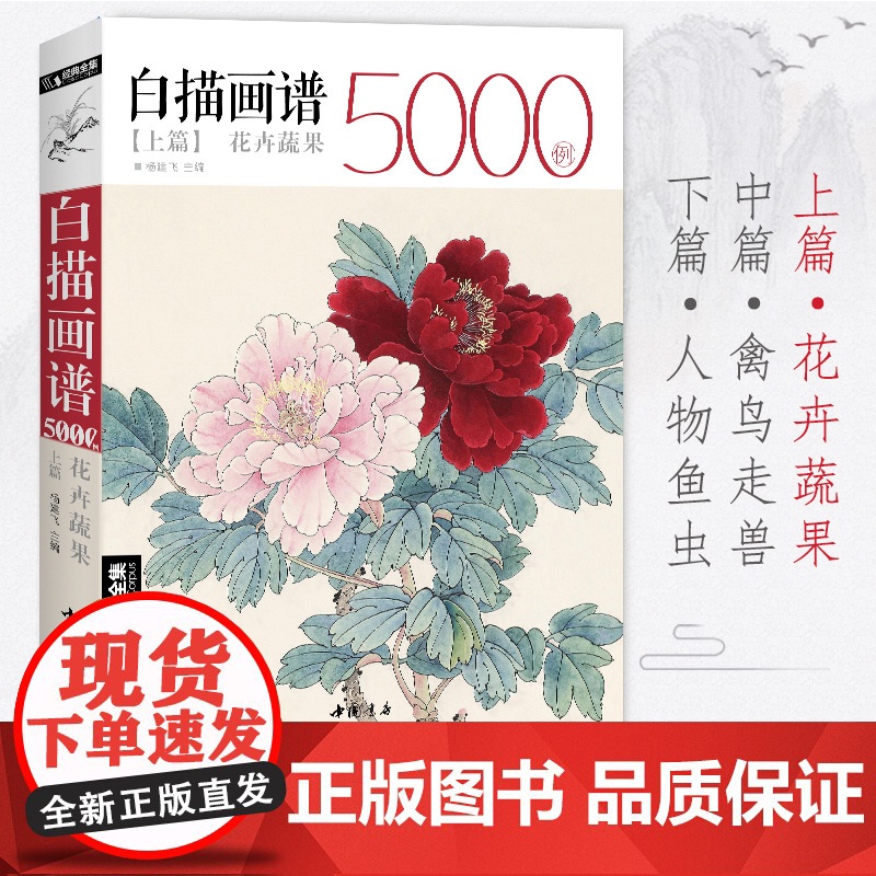 白描画谱5000例·上篇·花卉蔬果 中国工笔技法花鸟画册集书籍入门