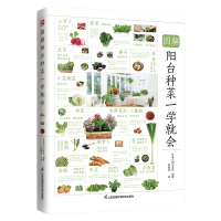 音像图解阳台种菜一学就会日本主妇之友社著