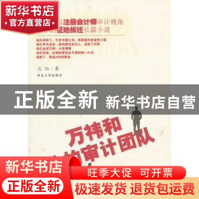 正版 万祎和他的审计团队 氿红著 河北大学出版社 9787566604071