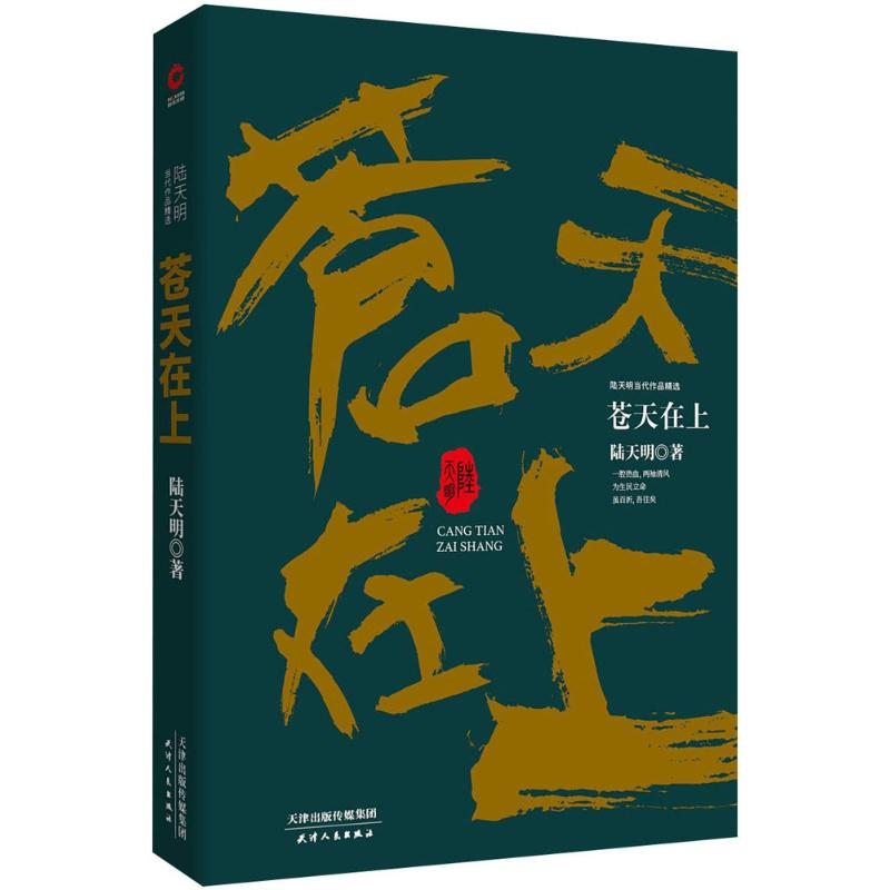 醉染图书苍天在上9787201133072