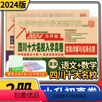 [正版]2024四川十大名校入学真卷小升初模拟试卷语文数学2本 小学毕业升学真题详解重点名校招生真卷考进成外实外嘉祥试