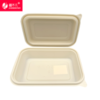 [疆不凡] 一次性可降解餐盒HYY-CF-02-1000ml 个