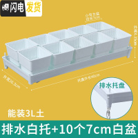 三维工匠控根多肉花盆套装组合塑料创意个性简约透气北欧风肉肉小盆器 [排水白托]+10个白盆(7cm盆) 中小花盆容器
