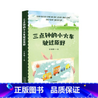 三点钟的小火车驶过原野 [正版]三点钟的小火车驶过原野 吕丽娜 中文分级阅读一年级 课外读物 6-7岁 儿童文学 果麦出