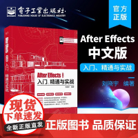 After Effects中文版入门 精通与实战 After Effects 软件在影视后期特效电视栏目包装企业和产品宣