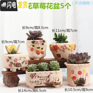 三维工匠多肉花盆陶瓷大口径室内透气粗陶肉肉植物批发小花盆 花花草莓5个 小花盆容器
