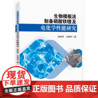 生物模板法制备磷酸铁锂及电化学性能研究 陈绍军,肖顺华著