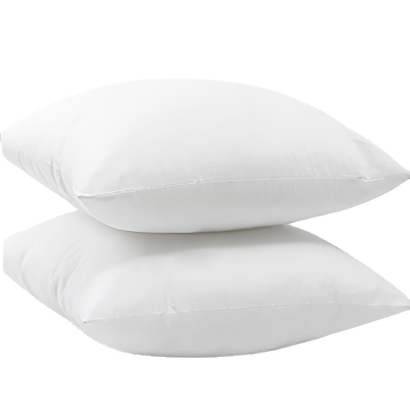 江小果枕芯48*74cm 个