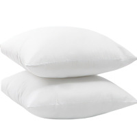 江小果枕芯48*74cm 个