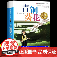 青铜葵花正版曹原著完整版四年级下册必读课外书纯美小说系列全套江苏少年凤凰儿童出版社五六年级的小学生课外阅读书籍草房子
