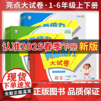 2025春 亮点给力大试卷一年级二年级三年级上册四4五5六6年级下册语文部编人教版数学苏教北师版英语江苏译林版期末测试卷