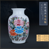 广口富贵竹花瓶摆件水养大号客厅电视柜博古架插花陶瓷装饰品摆设 三维工匠 百鹿图冬瓜瓶