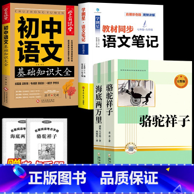 [完整版 4册]海底两万里+骆驼祥子+初中语文笔记+基础知识大全 [正版]完整版海底两万里和骆驼祥子原著老舍七年级下册名