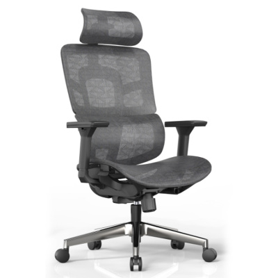 初嘉(CJ)BGY-30人体工学椅电脑椅撑腰办公椅家用老板椅电竞椅靠背转椅座椅