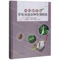 [N]中药材市场常见易混品种鉴别图集(精)-9787536496453