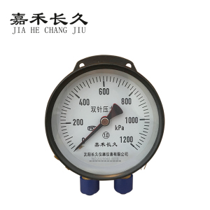 嘉禾长久 双针压力表 YZS-102 1.0级 台