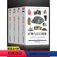 [正版]4册 矿物与岩石图鉴 231种矿物与65种岩石鉴别指南 鸟图鉴 野菜图鉴野花图鉴 收藏爱好者鉴别指南自然科学读