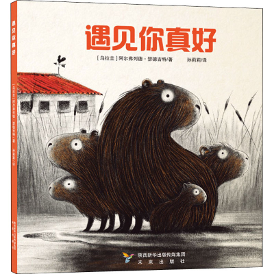 醉染图书遇见你真好9787541771279