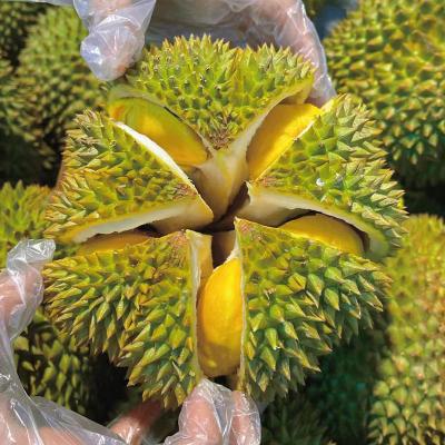 [西沛生鲜]泰国甲仑榴莲 进口榴莲 1-2个装8-9斤