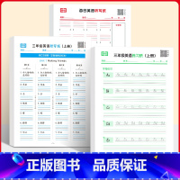 [三年级上册英语]练习纸+默写纸+听写纸 [正版]英语单词默写纸人教版小学生三四五六年级上册英汉互译同步英文单词句子听写