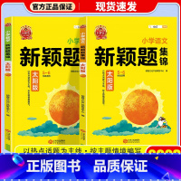 月亮版 语文+数学 小学通用 [正版]2023新版 王朝霞新颖题集锦太阳月亮版知识大盘点语文数学四五六年级学习学霸阅读理