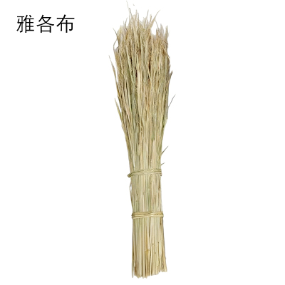 路轶森 稻草 800mm 千克