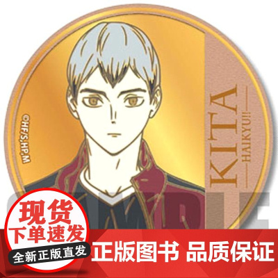 [正版日谷]排球少年 角色奖牌吧唧徽章