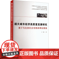 超大城市经济高质量发展研究 基于马克思社会有机体理论视角 王琳 著 经济理论经管、励志 正版图书籍