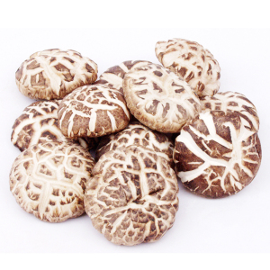 湖北三峡深山屈乡椴木自然生长花菇精选特产香菇干货新鲜无根肉厚250g/500g