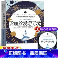 爱丽丝漫游奇境 [正版]爱丽丝漫游奇境记书爱丽丝梦游仙境书刘易斯卡罗尔原著完整无删减版名师导读带批注读后感考点六年级下册