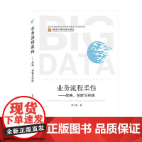 业务流程柔性--战略创新与实践/大数据环境下的信息管理方