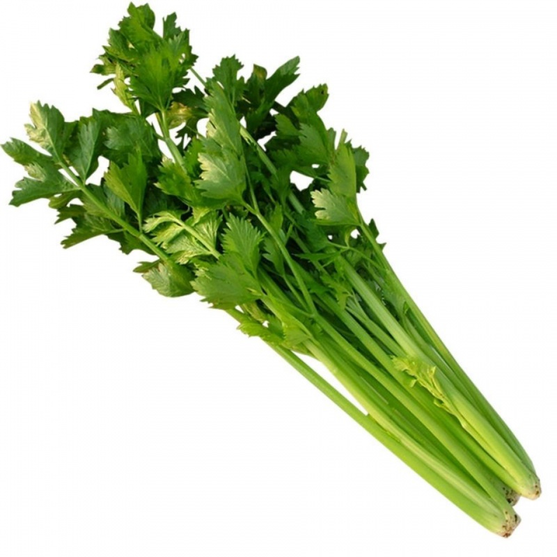 芹菜 西芹菜 小香芹 新鲜蔬菜农家现摘青菜嫩山东特产 5斤精选装