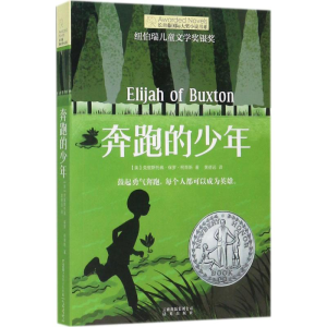 醉染图书奔跑的少年9787541490248