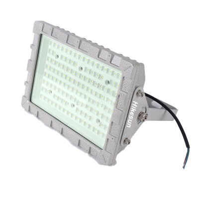 和齐顺(Hikesun) HQ-GDL100 100W 吊杆式防爆灯 (计价单位:盏) 灰色