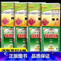 (语数英科)小升初毕业总复习全解+摸底试卷 [正版]2024孟建平小升初真题卷名校初一新生分班摸底考试卷语文数学英语科学