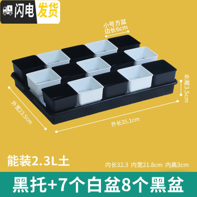 三维工匠美莳控根多肉花盆塑料套装组合创意透气肉肉控型盆器带托盘小花盆 黑托+8黑7白盆(6cm盆) 小花盆容器