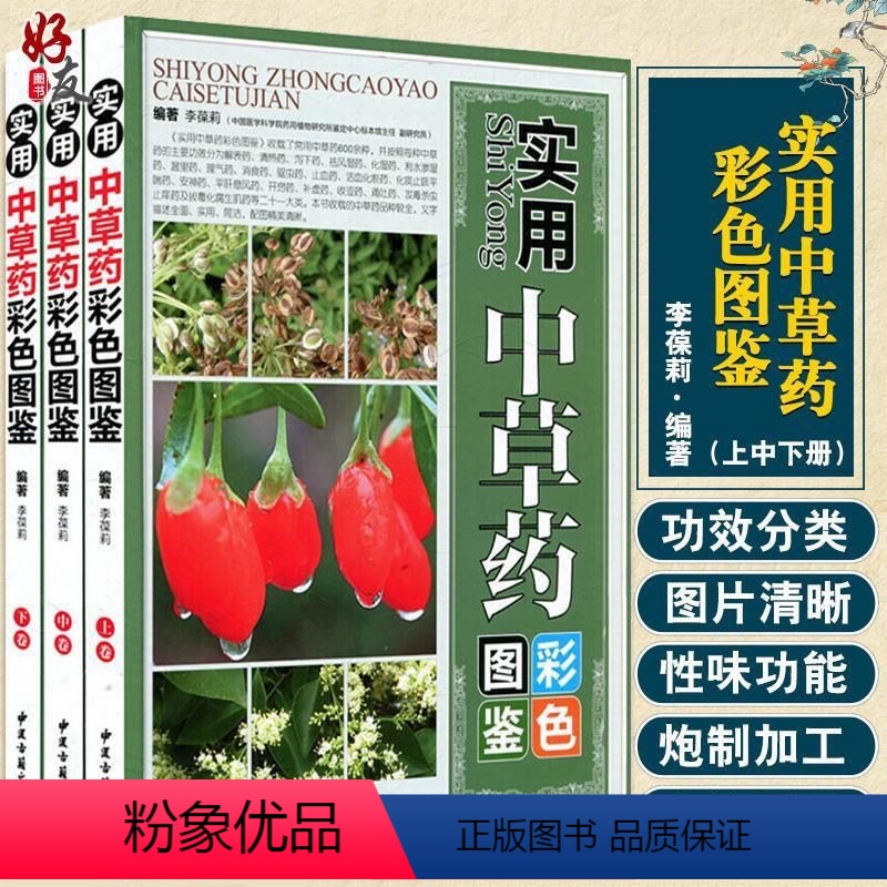 [正版]实用中草药彩色图鉴 李葆莉 编著 书籍 中医古籍出版社 ,养生中药医学,一学就会百日通中医倪海厦