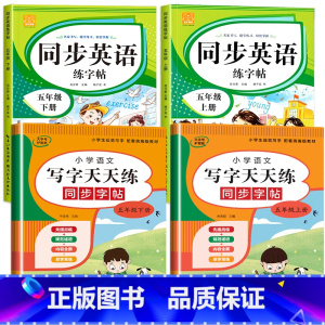 五年级上册+下册(语文+英语) [正版]小学英语练字帖同步人教版PEP三四五六年级上册+下册 三升四英文字母书写练习单字