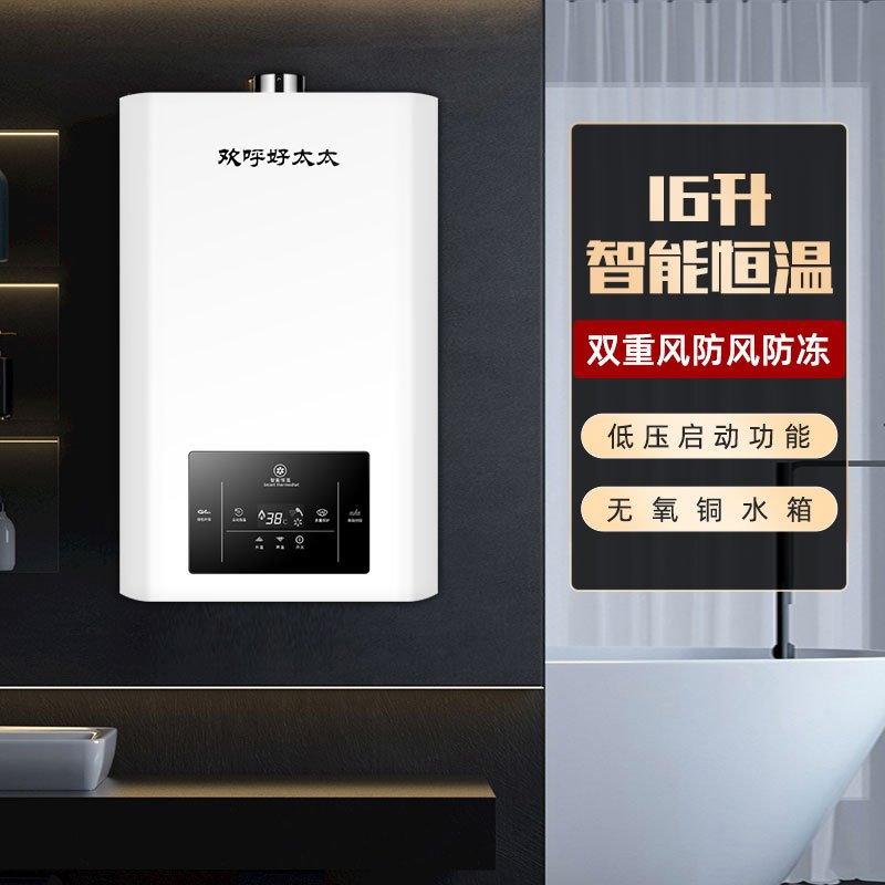 欢呼好太太 16升燃气热水器 三档智能支持恒温 家用强排式热水器WTR16L 液化气