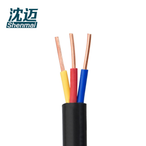 沈迈 低烟无卤阻燃电缆 WDZ-YJY-3*6mm² /米