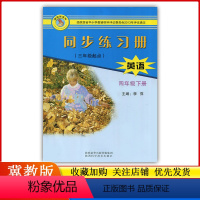 英语 [正版]2023小学4/四年级下册英语同步练习册配冀教版/陕西科学技术出版社小学生英语三年级起点练习题作业本专项同