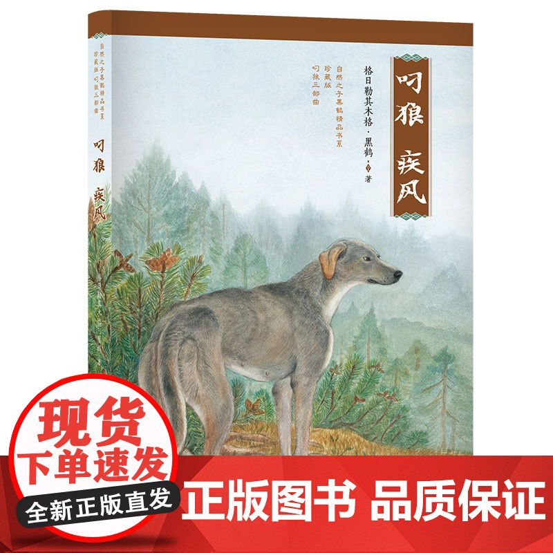 自然之子黑鹤精品书系 珍藏版 叼狼三部曲:叼狼·疾风