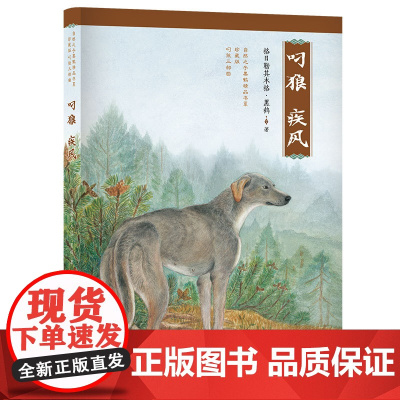 自然之子黑鹤精品书系 珍藏版 叼狼三部曲:叼狼·疾风